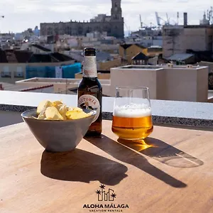 Luxury Duplex With Pool And Padel Court In Town Apartment Málaga